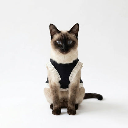 Black Lace Pet Vest – Elegant Dog & Cat Outfit