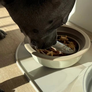Spiral Slow Feeder Bowl